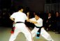 Võ Thuật 1997